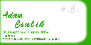 adam csulik business card